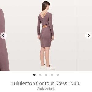 Contour Dress *Nulu